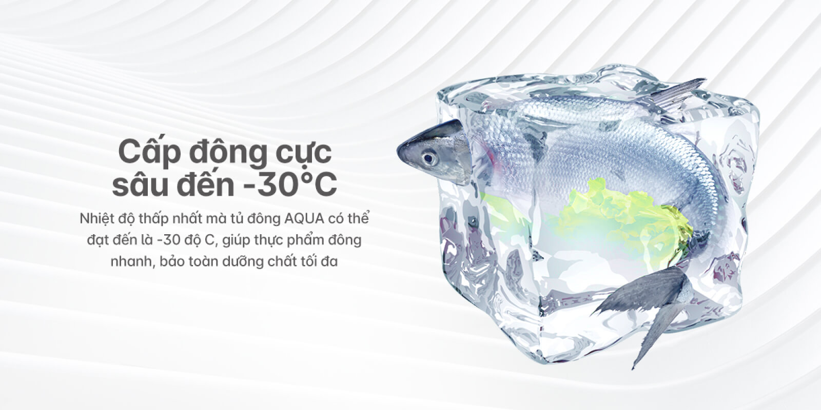 Cap dong cuc sau (1)