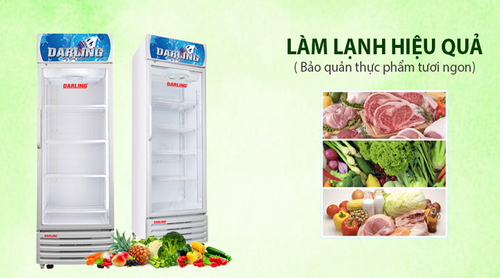 Tủ mát Darling DL-4000A2