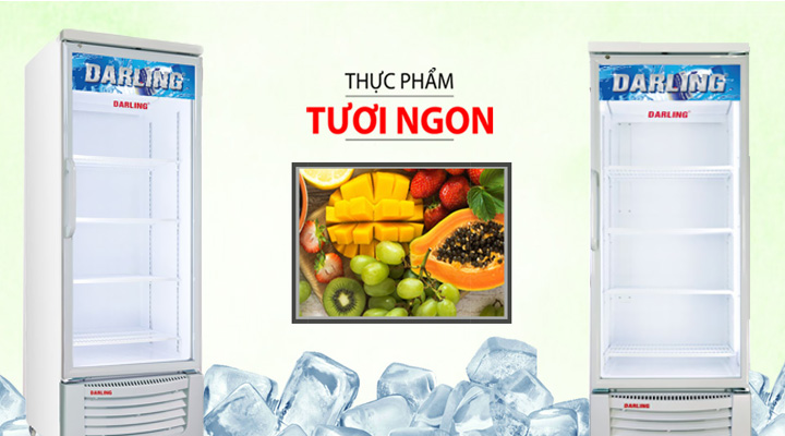 Tủ mát Darling DL-5000A2